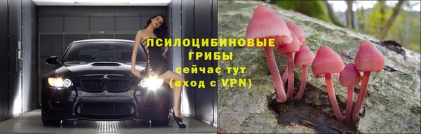 круглые Богородск