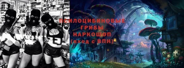 экстази Богородицк