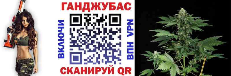Шишки марихуана гибрид  Северская 